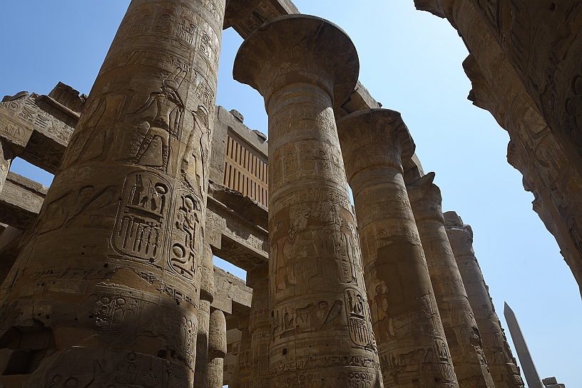 37 MAK_6146.jpg - ...ma ce ne sono anche col fiore aperto.